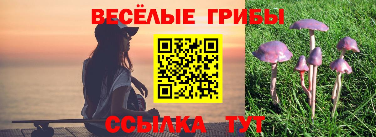 наркотики  Псилоцибиновые грибы Cubensis  Вход с VPN  Новочебоксарск 